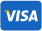 Visa icon